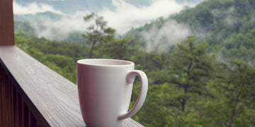 Café de especialidad vs. Café comercial: ¡el duelo definitivo!
