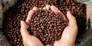 El mejor café en grano para cafeteras superautomáticas