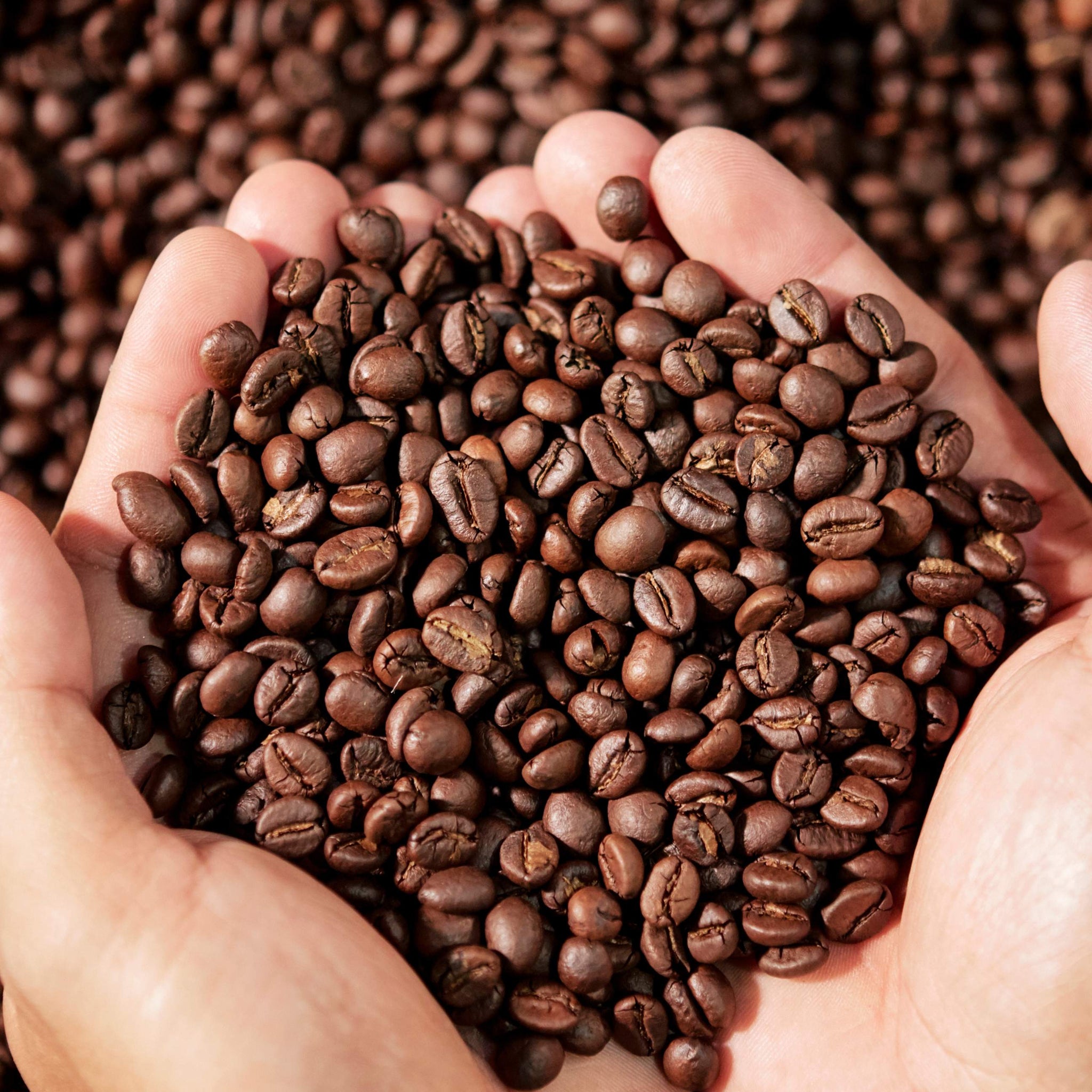 El mejor café en grano para cafeteras superautomáticas